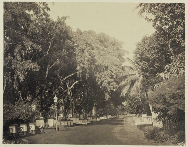 6) Woodbury & Page, ‘Gang Scott in Weltevreden te Batavia [richting Tanah Abang in het westen]‘, uit: ‘Vues de Java Photographies par Woodbury & Page Batavia’, albuminedruk, tot nu toe gedateerd als ‘circa 1875′ maar vanwege het hieronder genoemde en getoonde reisverslag van Comte de Beauvoir niet laten genomen dan 1867 (links verscholen in het groen de Armeense Kerk, rechts een stukje van de tuin van het huis waar Berthe haar meisjesinstituut had).